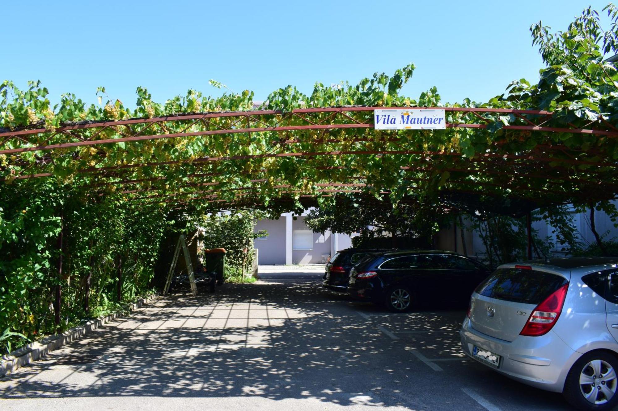 فوديس Rooms Vila Mautner المظهر الخارجي الصورة