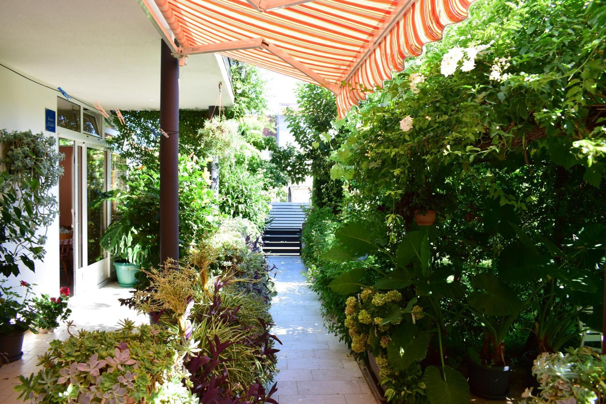 فوديس Rooms Vila Mautner المظهر الخارجي الصورة