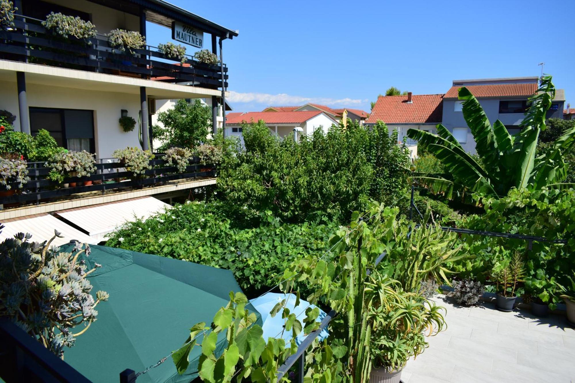 فوديس Rooms Vila Mautner المظهر الخارجي الصورة