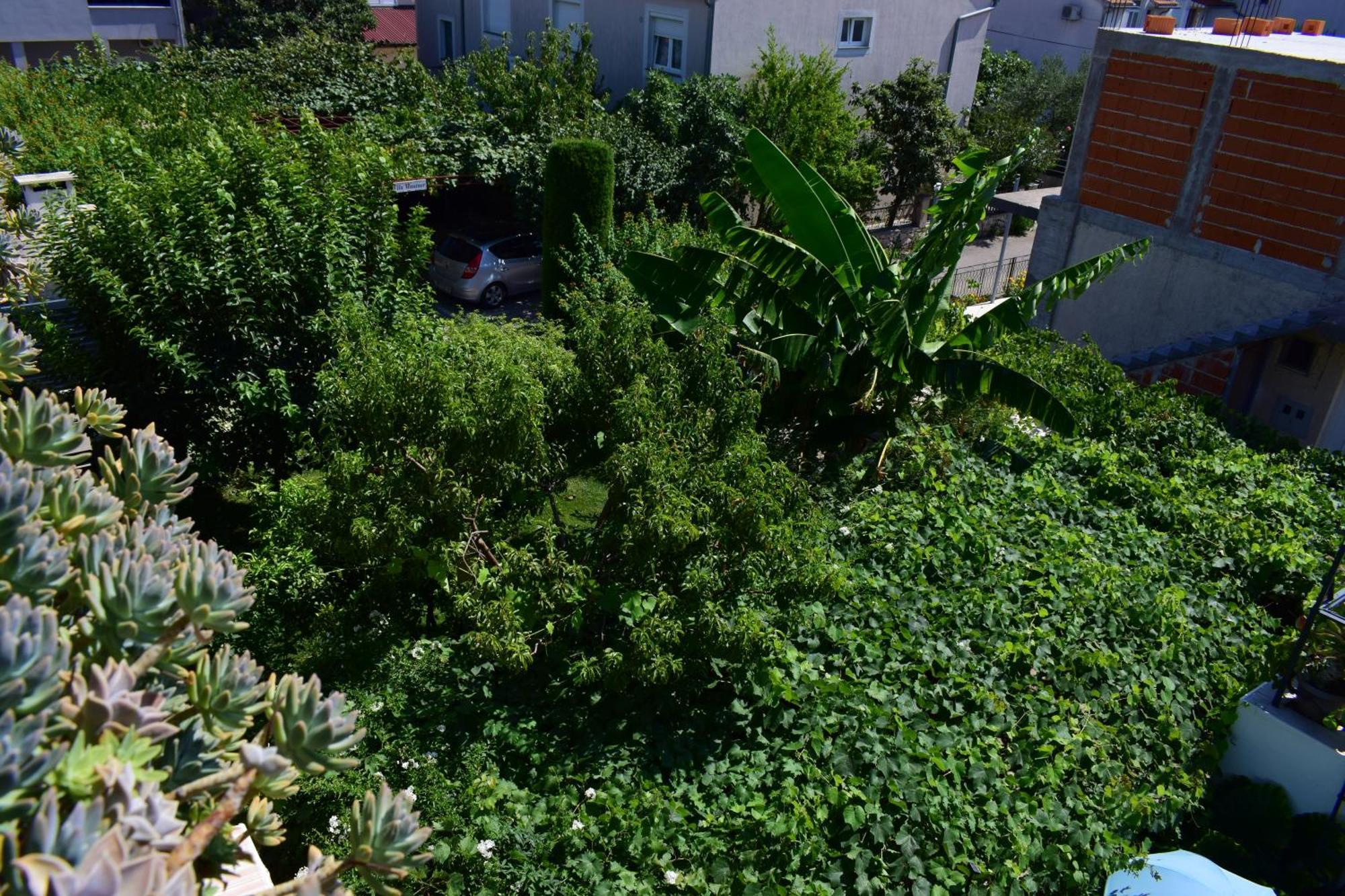 فوديس Rooms Vila Mautner المظهر الخارجي الصورة